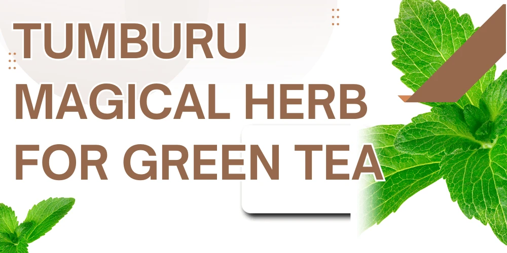 Tumburu  – The Magical Herb of the Mountains of Skardu