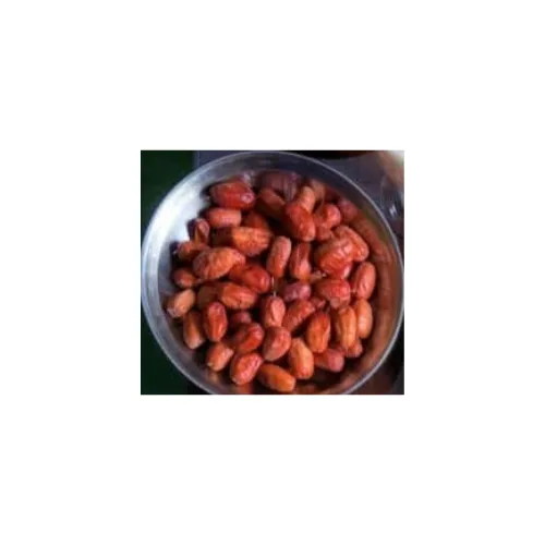 Oleaster / Elaeagnus angustifolia / Russian Olive