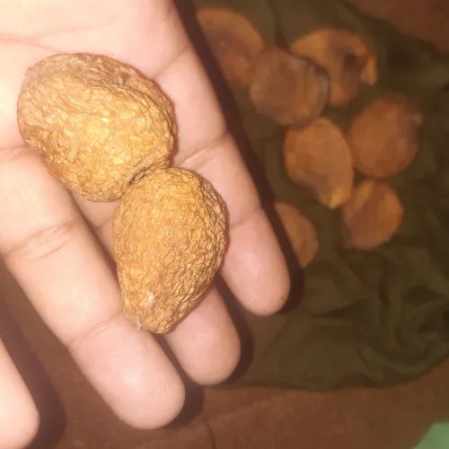 DRIED APRICOT WITH KERNEL | Sun Dried Organic Apricot
