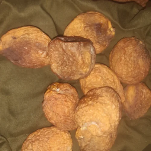 DRIED APRICOT WITH KERNEL | Sun Dried Organic Apricot