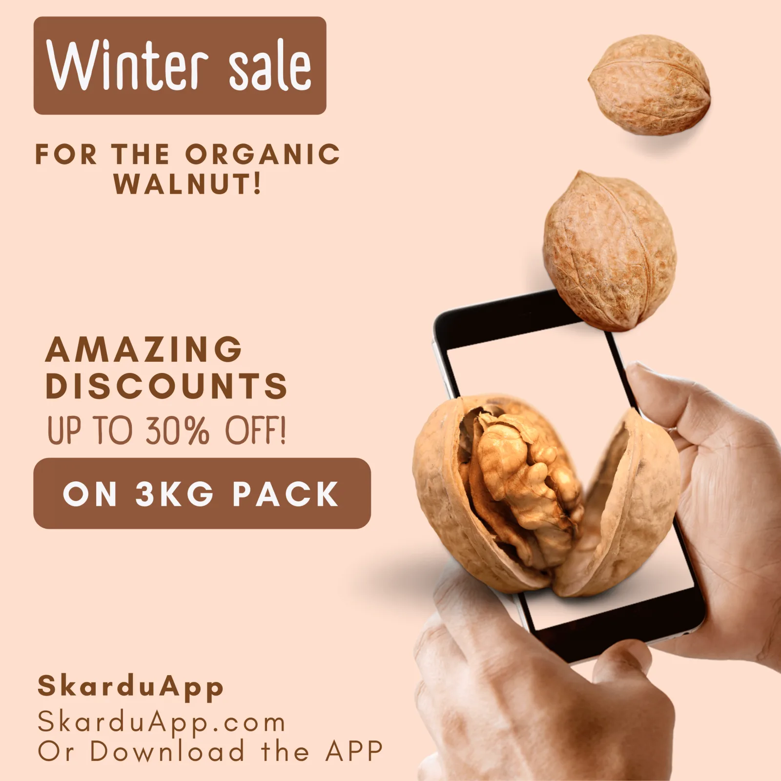 Organic walnuts of 3kg pack on discount