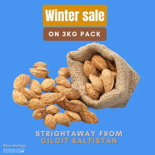03kg Pack Organic Kaghazi Badam (almond)