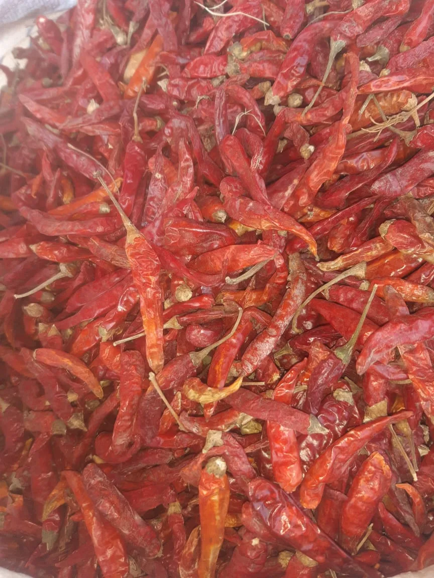 Dried Chili | Organic & Pure