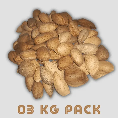 03KG Kaghazi (Normal Soft) Almond on discount