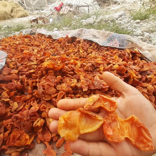 Sun-Dried Organic Apricots (Khubani) from Hunza & Skardu