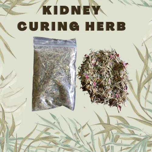 Riyong Hursaa, a hreb for healthy kidneys